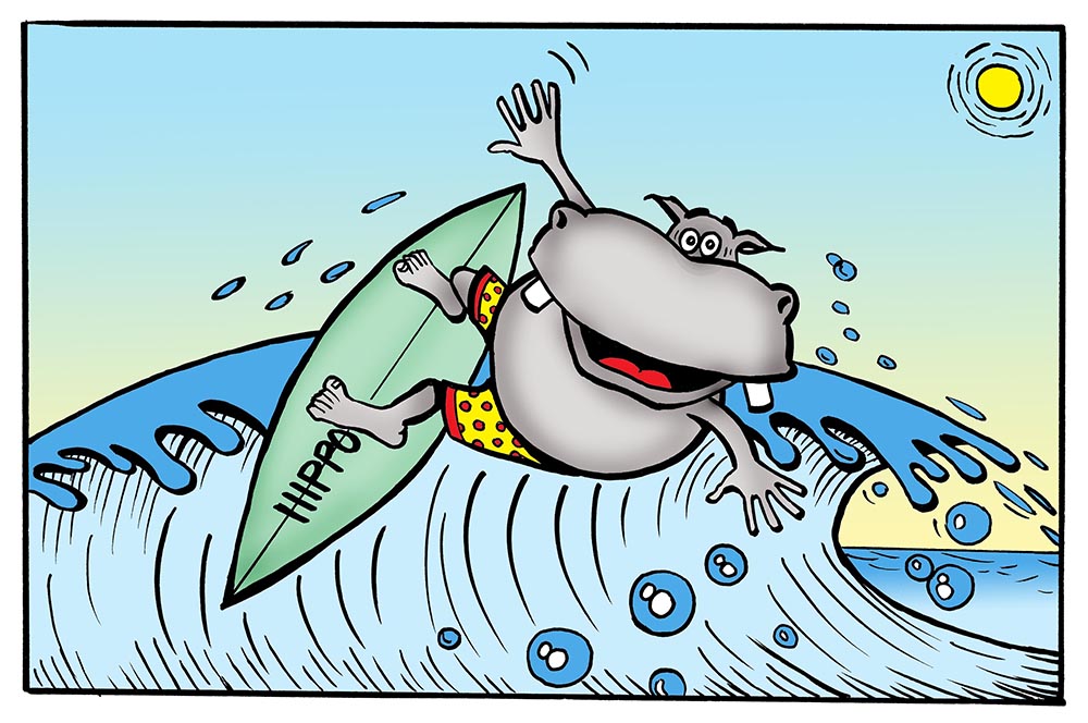 SURFING_HIPPO copy