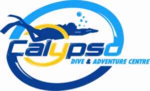 logo1